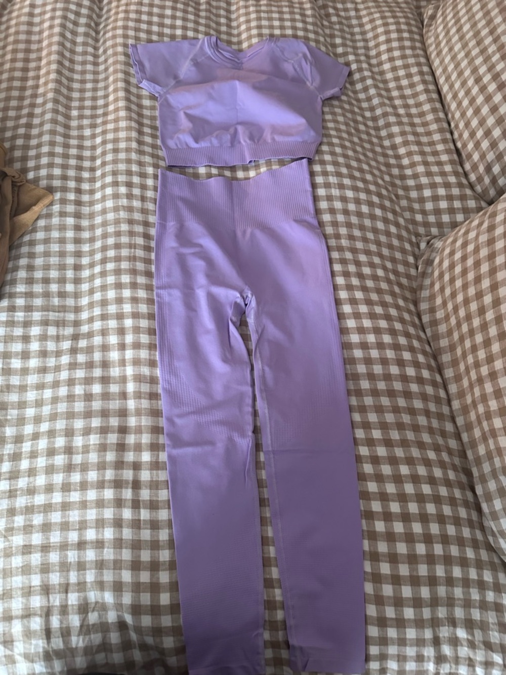 Lilac Seamless Crop Top & High-Waist Leggings Set